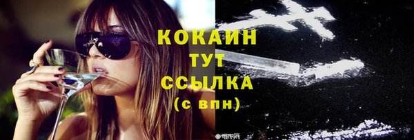 стафф Надым