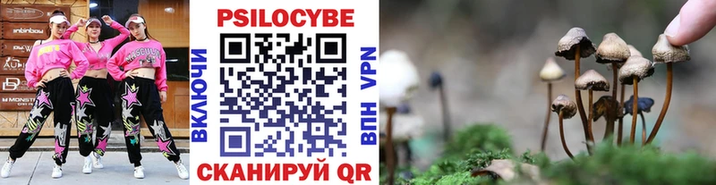 Псилоцибиновые грибы прущие грибы  купить закладку  Салаир 